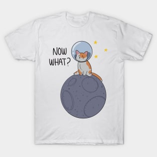 Meow what? T-Shirt